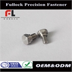 OEM/ODM fasteners custom brass/stainless steel screw