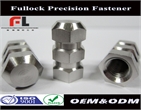 China fasteners precision hex stainless steel nut